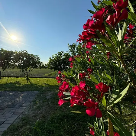 La Casa Di Igni Bed & Breakfast San Dona di Piave